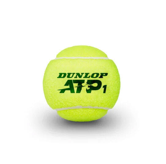 DUNLOP ATP Official 4er Dose